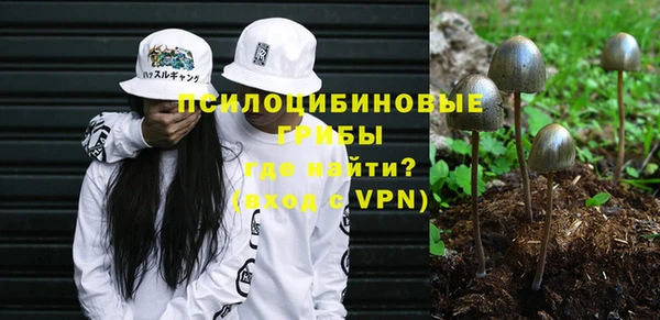 mix Абаза